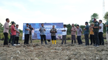 Pemprov Sulbar Garap Dua Hektar Lahan Jadi Sentra Pembibitan Komoditi Pangan