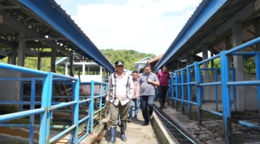 Pemprov – DPRD Sulbar Sepaham membentuk Dinas Peternakan Pemprov Sulbar.
