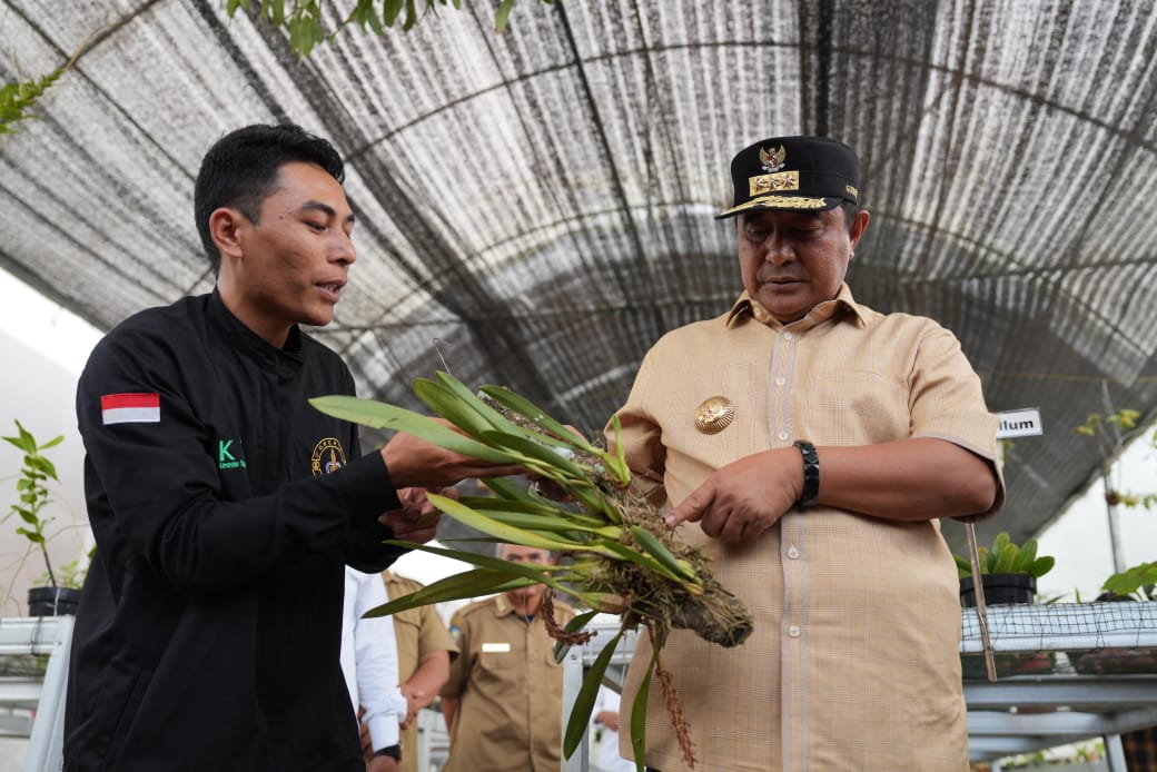 Diskusi Online Anggrek Mamasa, Pakar IPB Ibaratkan Anggrek Sulbar Posisinya Seperti Thailand