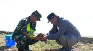 Buat Terumbu Karang Buatan dan Tanam Pohon, Sinergi Pemprov- TNI AL Menjaga Ekosistem Laut