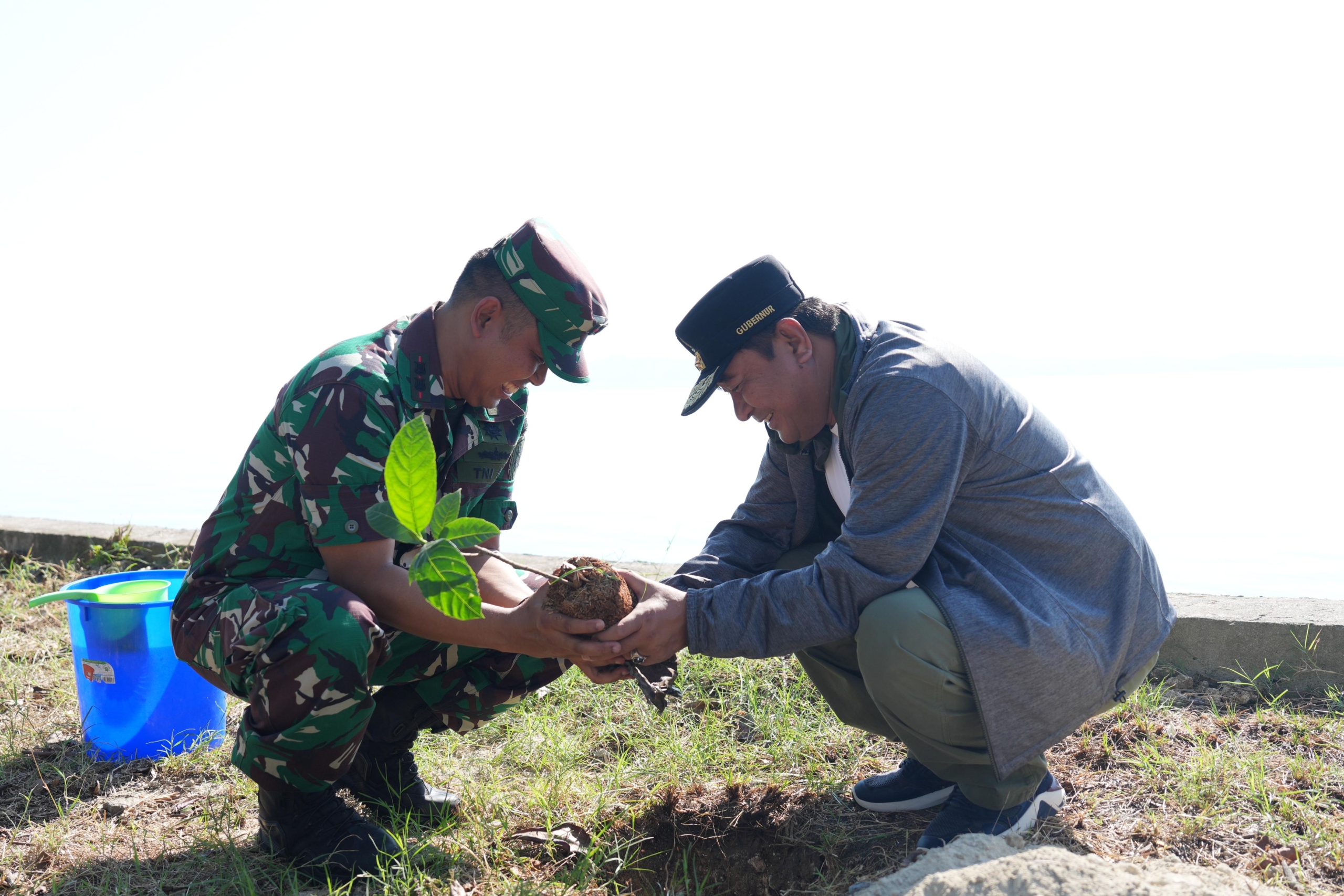 Buat Terumbu Karang Buatan dan Tanam Pohon, Sinergi Pemprov- TNI AL Menjaga Ekosistem Laut