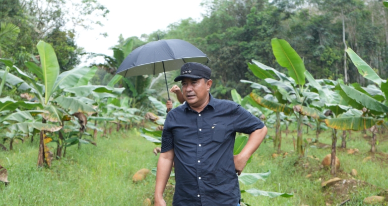 Ke Lokasi Pembibitan, Pj Bahtiar Akan Membuka Pusat Pembibitan Hortikultura di Sulbar