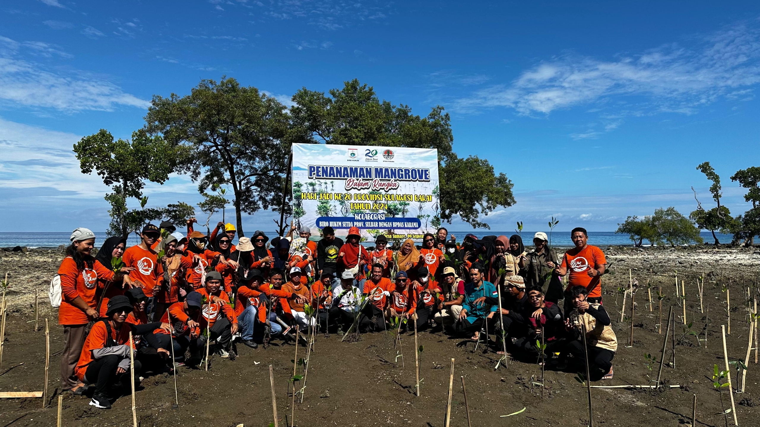 Sambut HUT Sulbar ke-20 Tahun, Biro Hukum Kolaborasi BPDAS Karama Tanam Mangrove di Desa Sumare